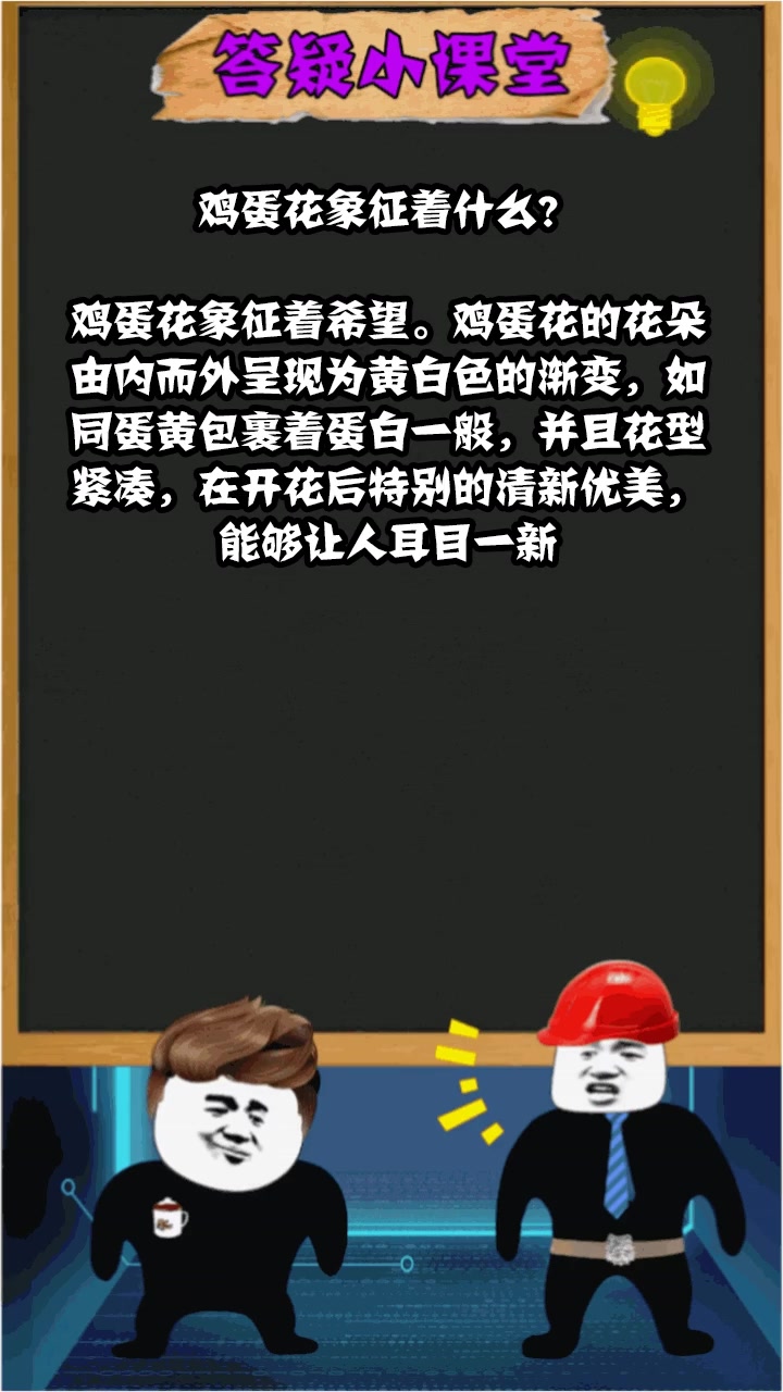鸡蛋花象征着什么?