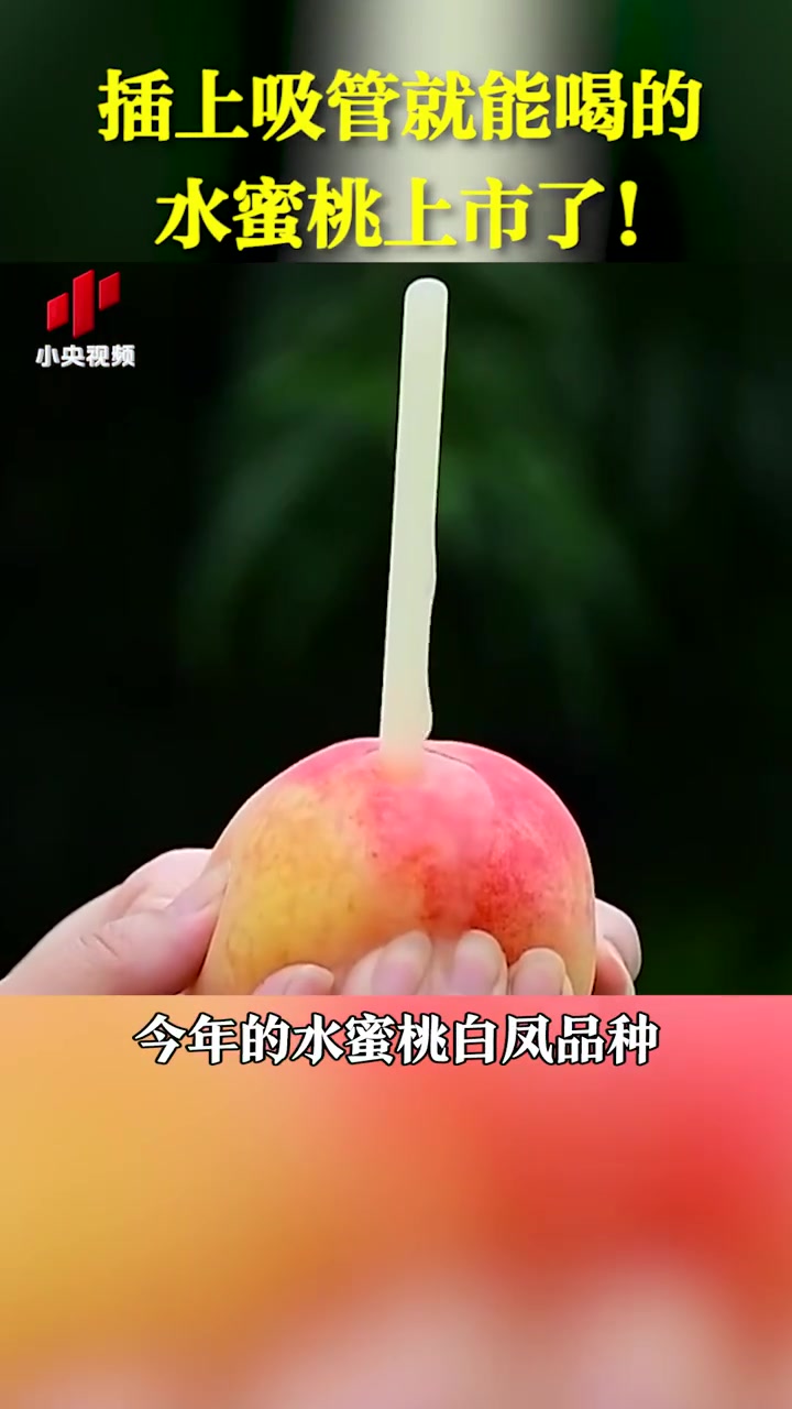 【阳山水蜜桃上热搜榜了】无锡阳山白凤水蜜桃上市,多汁肉甜,插上吸管就能喝。品相好、重量达到