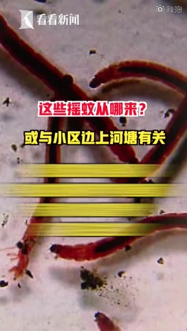 【上海一小区小绿虫铺天盖地 专家:不必恐慌,对人体无害】近日,上海静安的陈女士反映,小区近