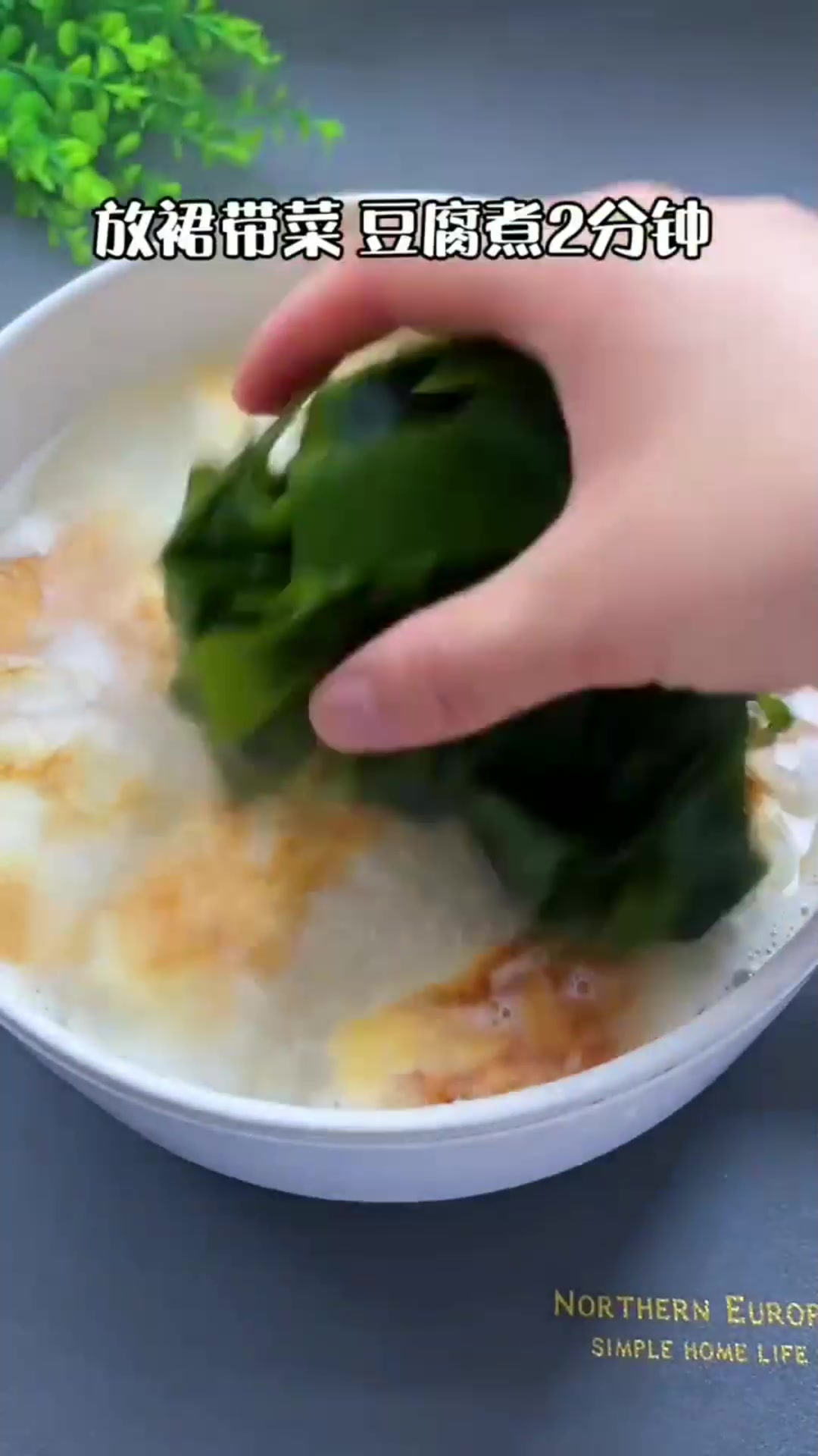 解锁今日份美食,非常好吃的裙带菜豆腐汤,做法学废了吗?