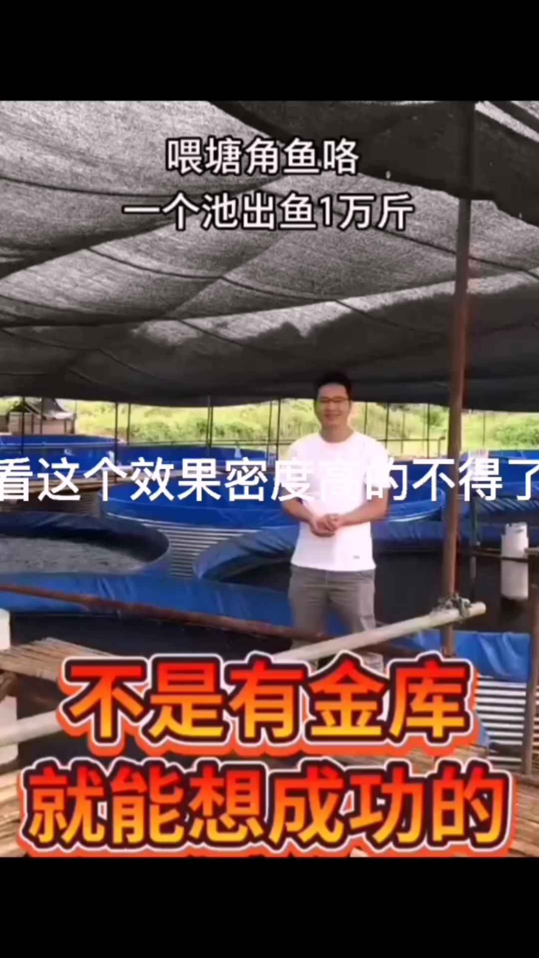 不挖塘高密度养殖。