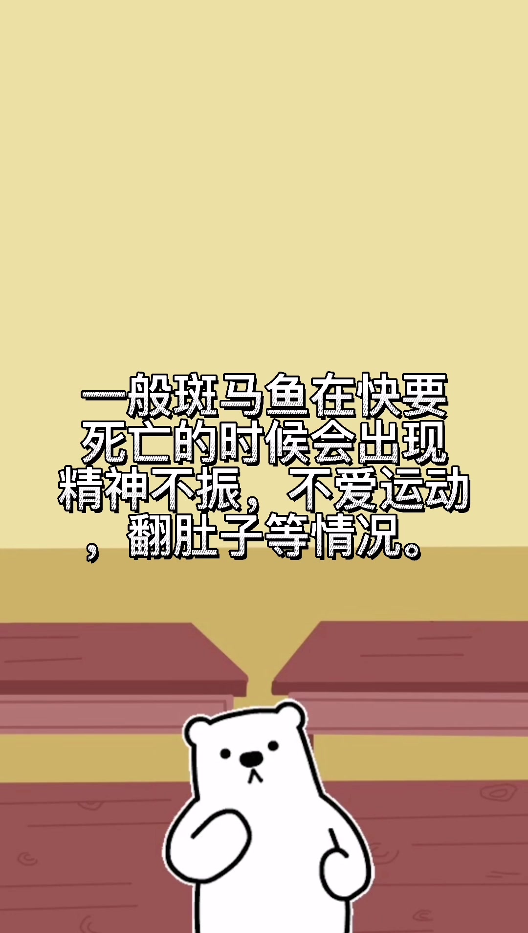 斑马鱼死亡前兆是?