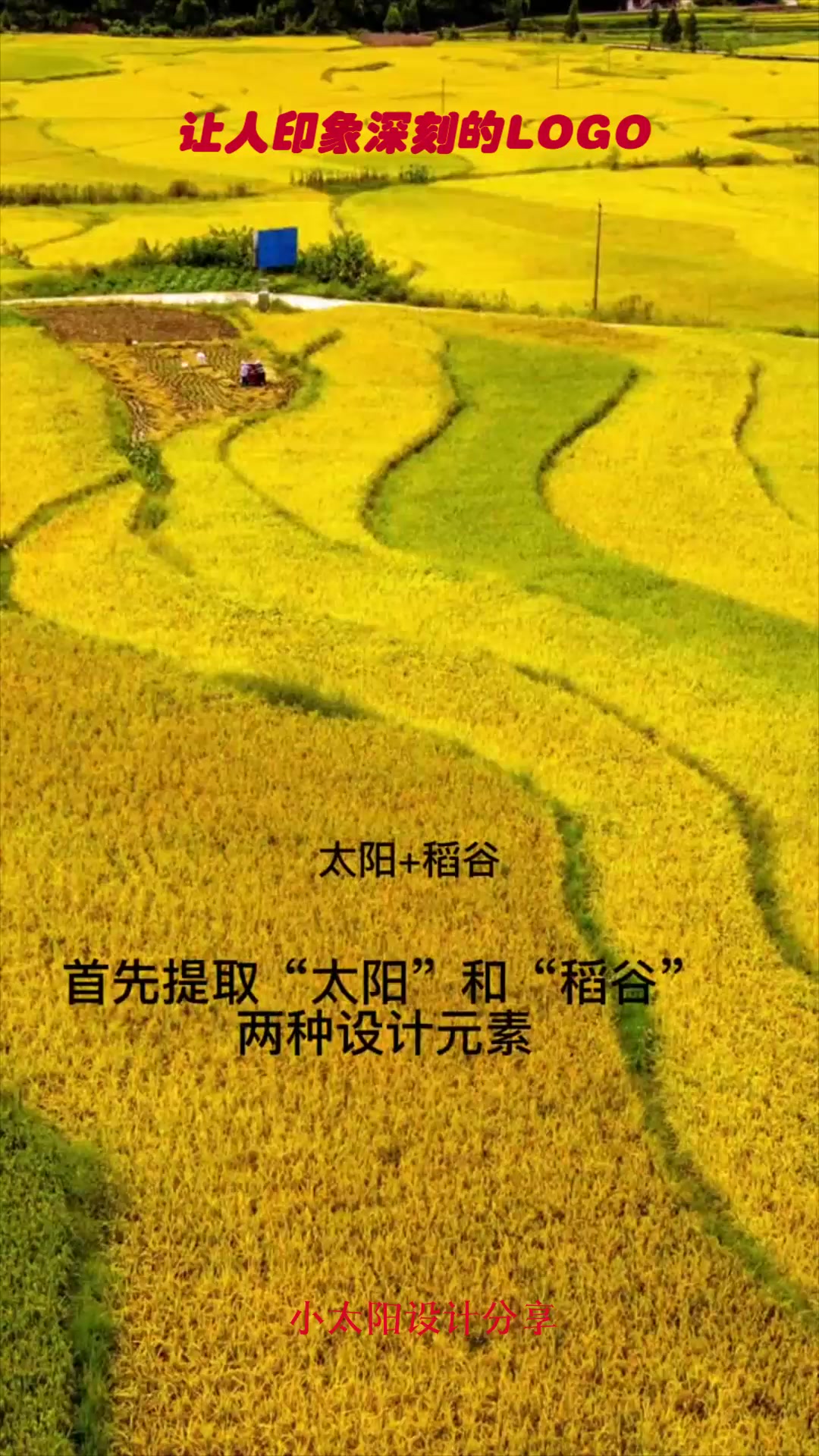 如何设计一个让人印象深刻的logo?看到成品效果,不服都不行