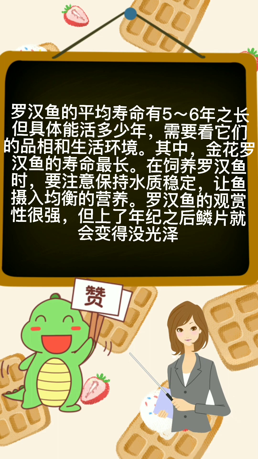 罗汉鱼寿命能活多少年