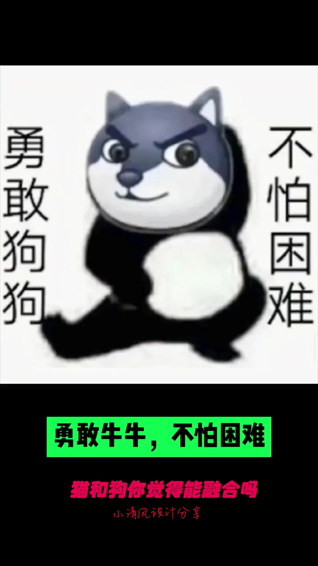 猫和狗你觉得能融合logo吗?看到成品的那刻,设计师这手艺封神了