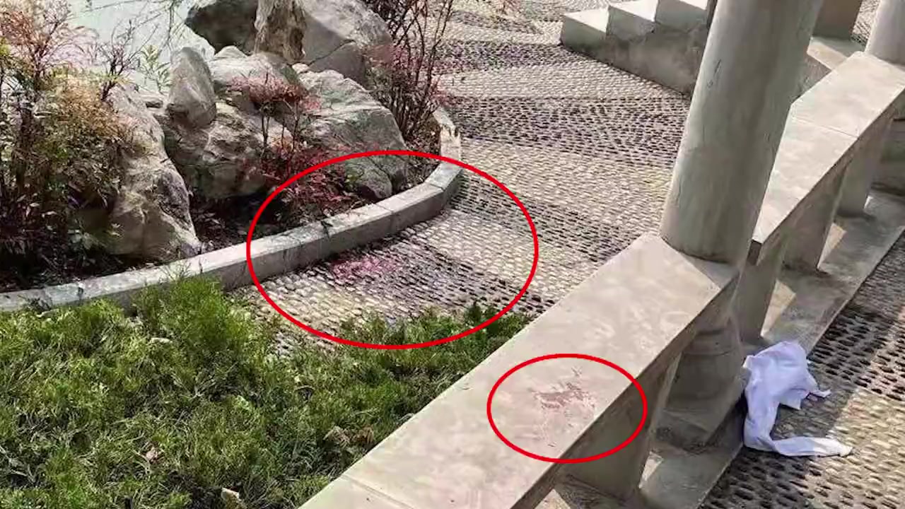 【女硕士遭追求者砍杀案移交检察院:警方认定女硕士遭砍杀案凶手无精神病】7月12日,记者从女