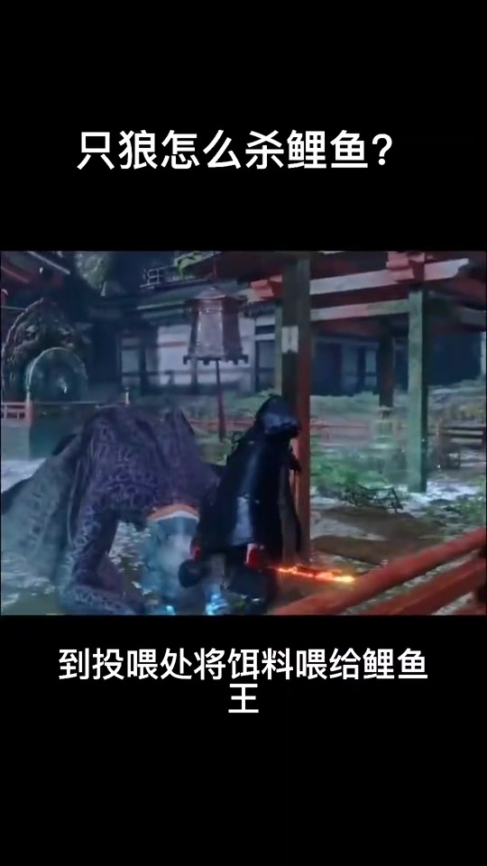 只狼怎么杀鲤鱼 