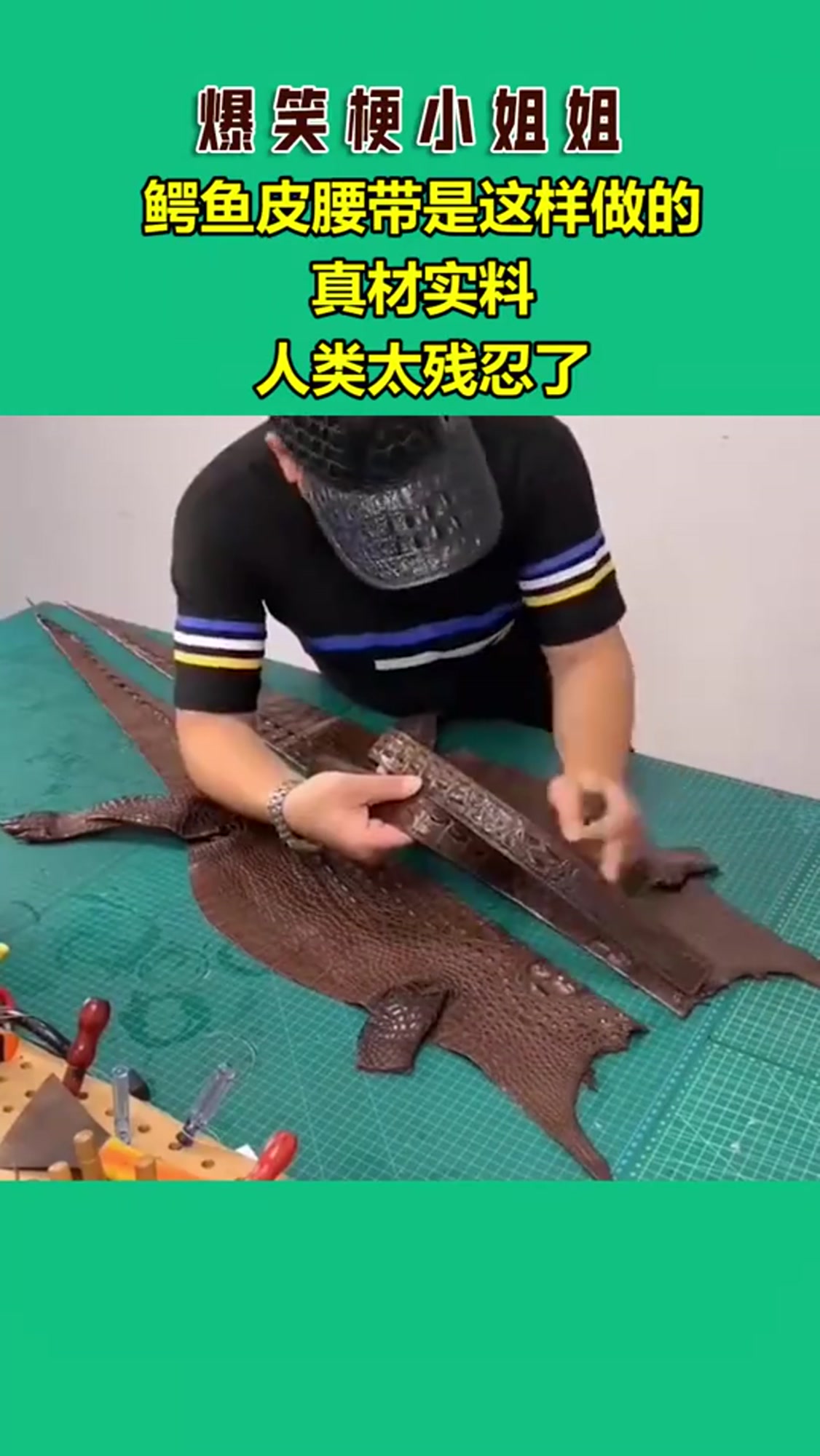 鳄鱼皮腰带是这样做的,真材实料,人类太残忍了!