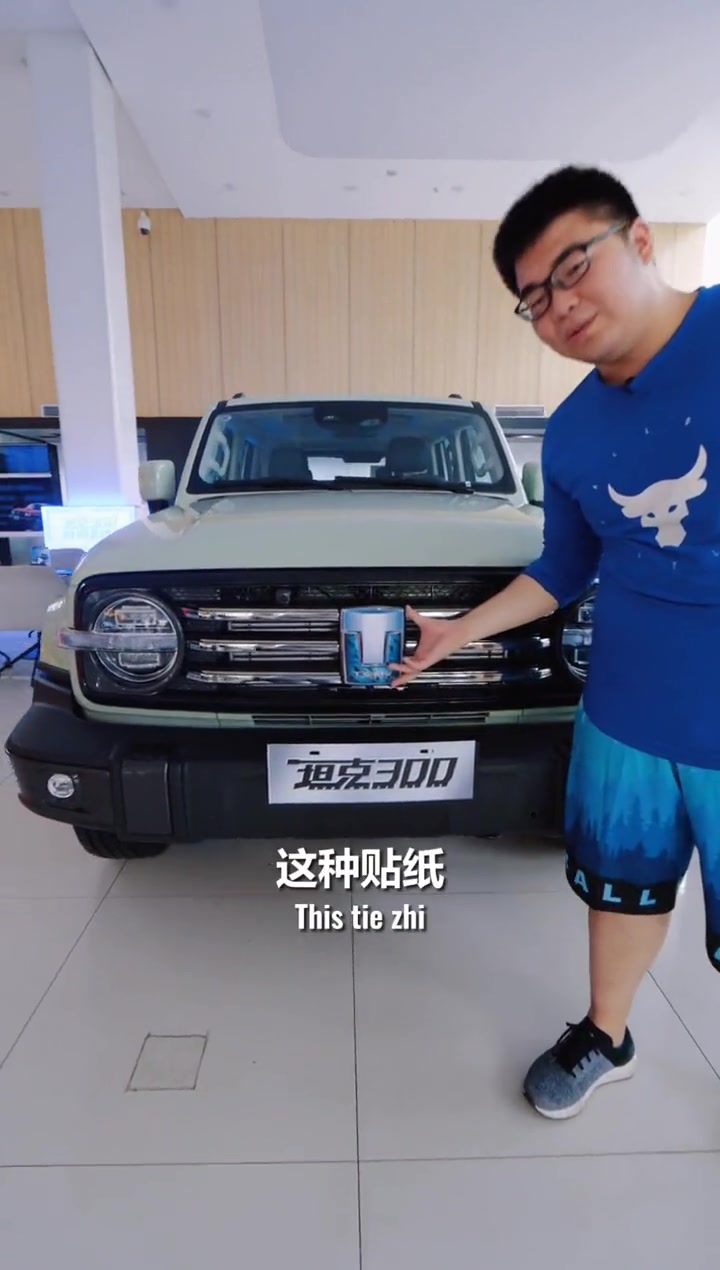 坦克车标可以更加个性!