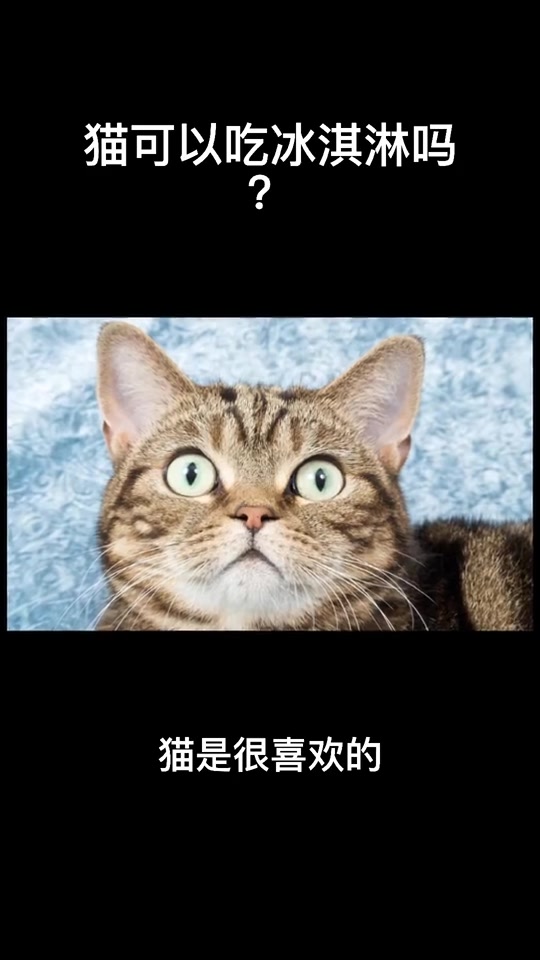 猫可以吃冰激凌吗?