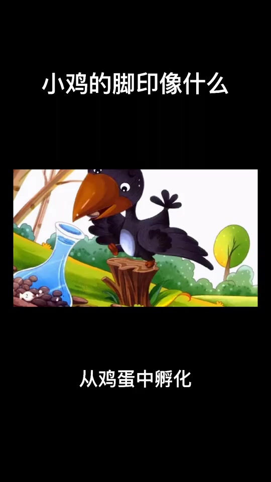 小鸡的脚印像什么
