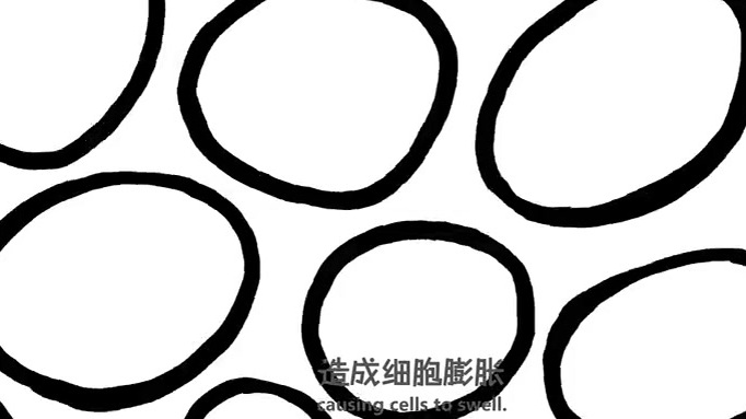 【动画科普:水在人体中是怎样起作用的?】人在断食、只饮水的情况下可生存数周,但如果断水,只