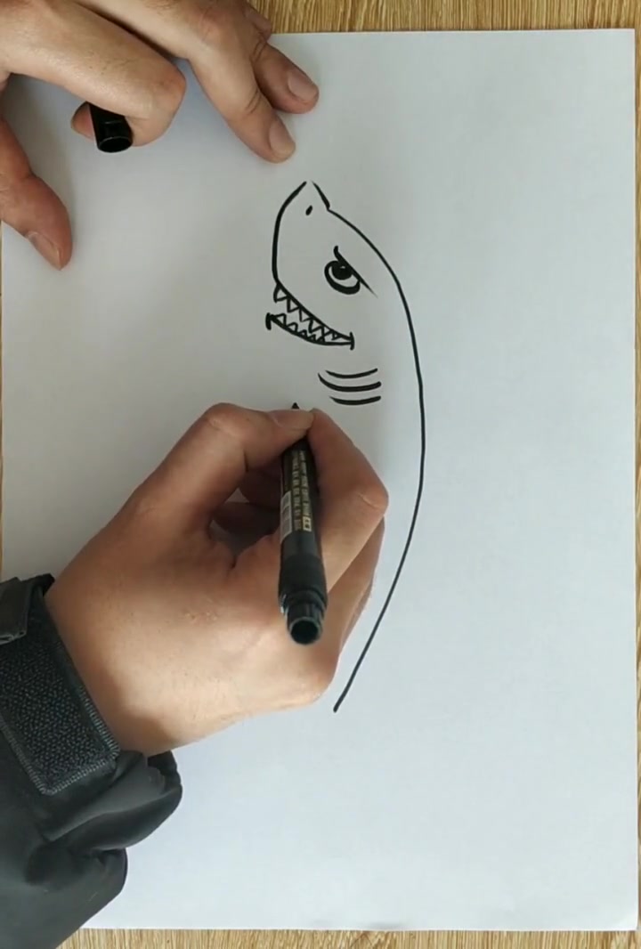 鲨鱼应该怎么画?