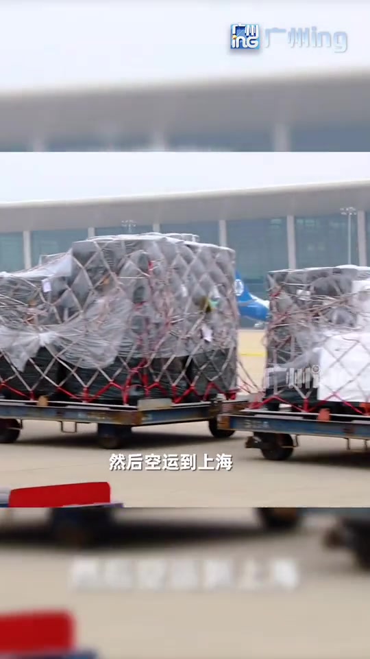 你吃过 沙葱 吗?沙葱卖50块一斤仍供不应求。小编:不仅没吃过,可能连是什么都不知道……