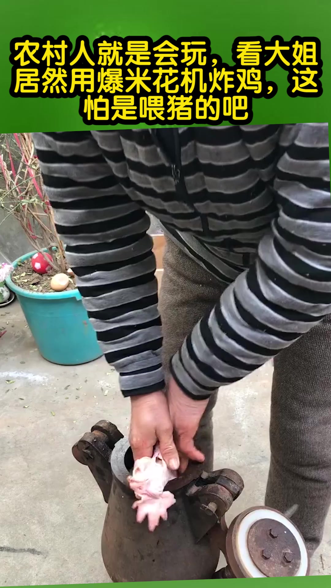 农村人就是会玩,看大姐居然用爆米花机炸鸡,这怕是喂猪的吧