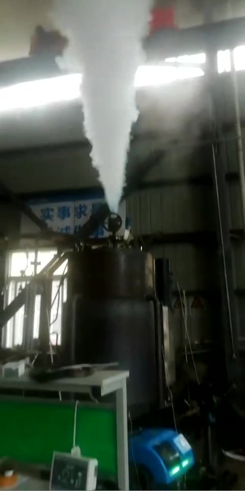 雷普顿蒸汽发生器经过严苛测试,出厂即精品