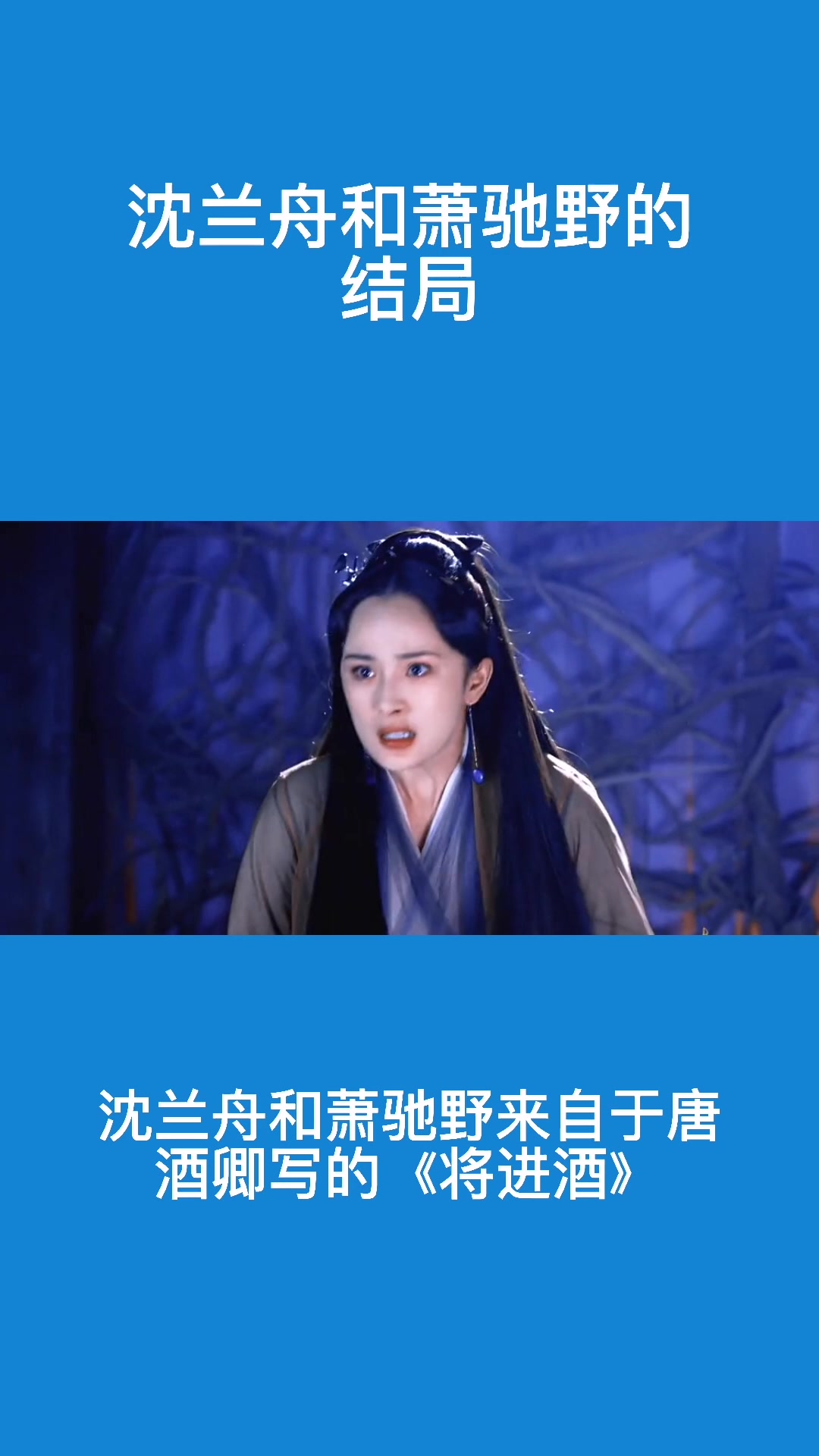 沈兰舟和萧驰野的结局