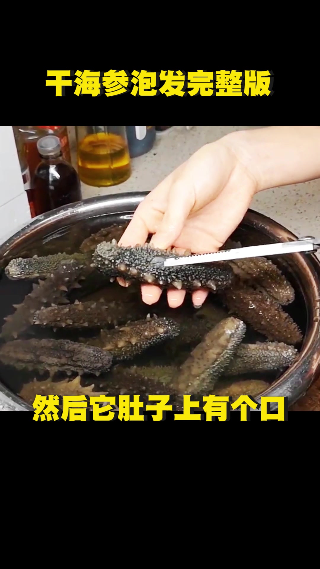 干海参的泡发完整版——杨胜杰