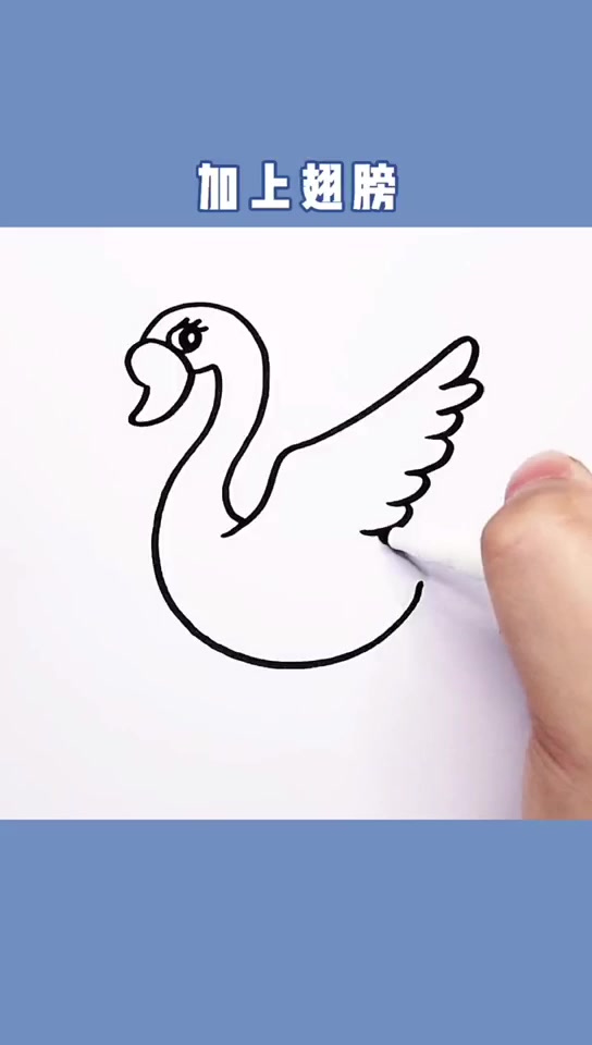 天鹅怎么画呢?我来教你。