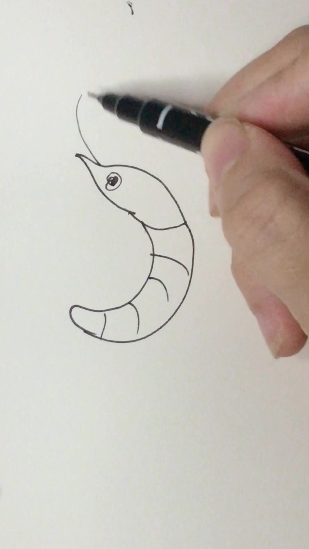 儿童简笔画教程,虾