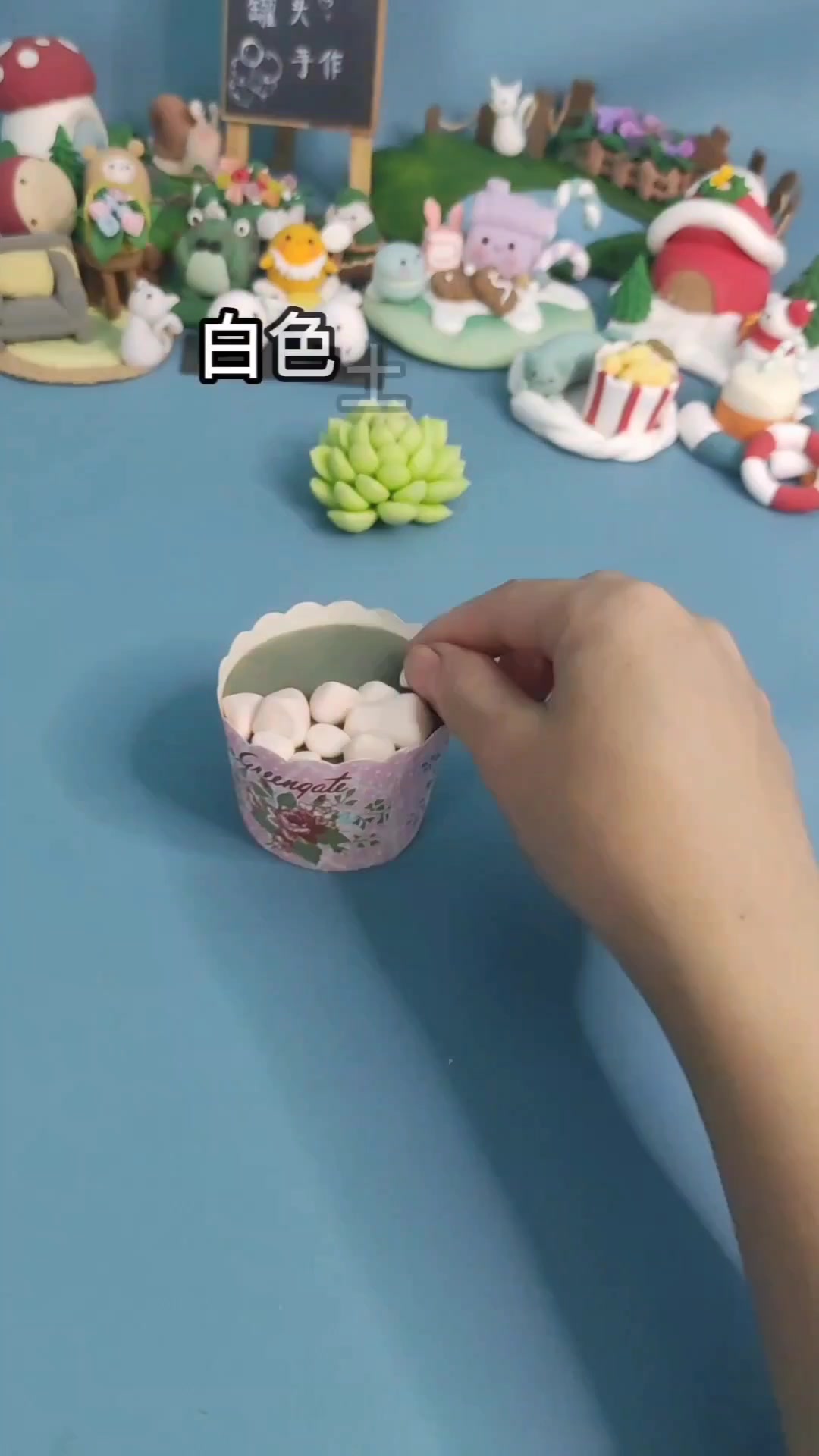 手工制作多肉植物!