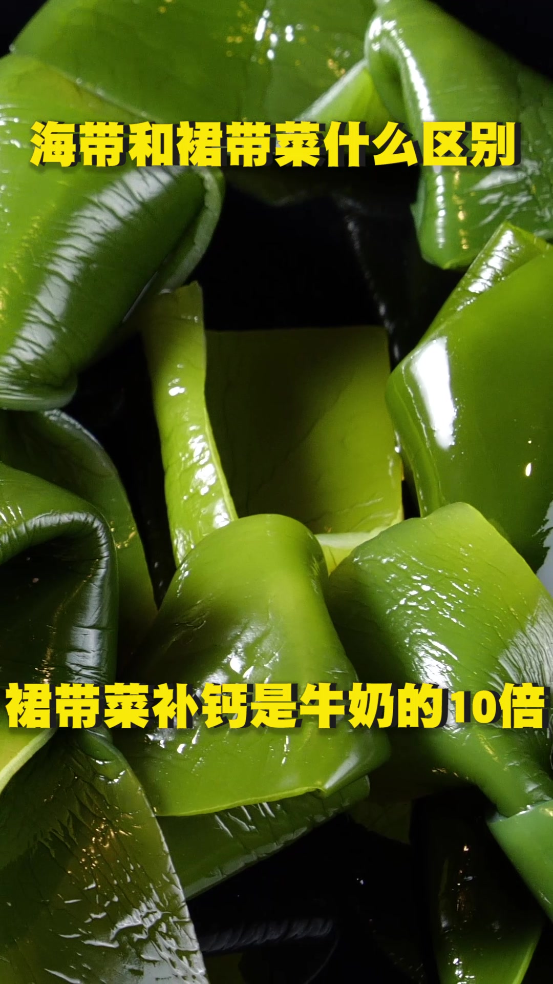 裙带菜和海带的区别在那里