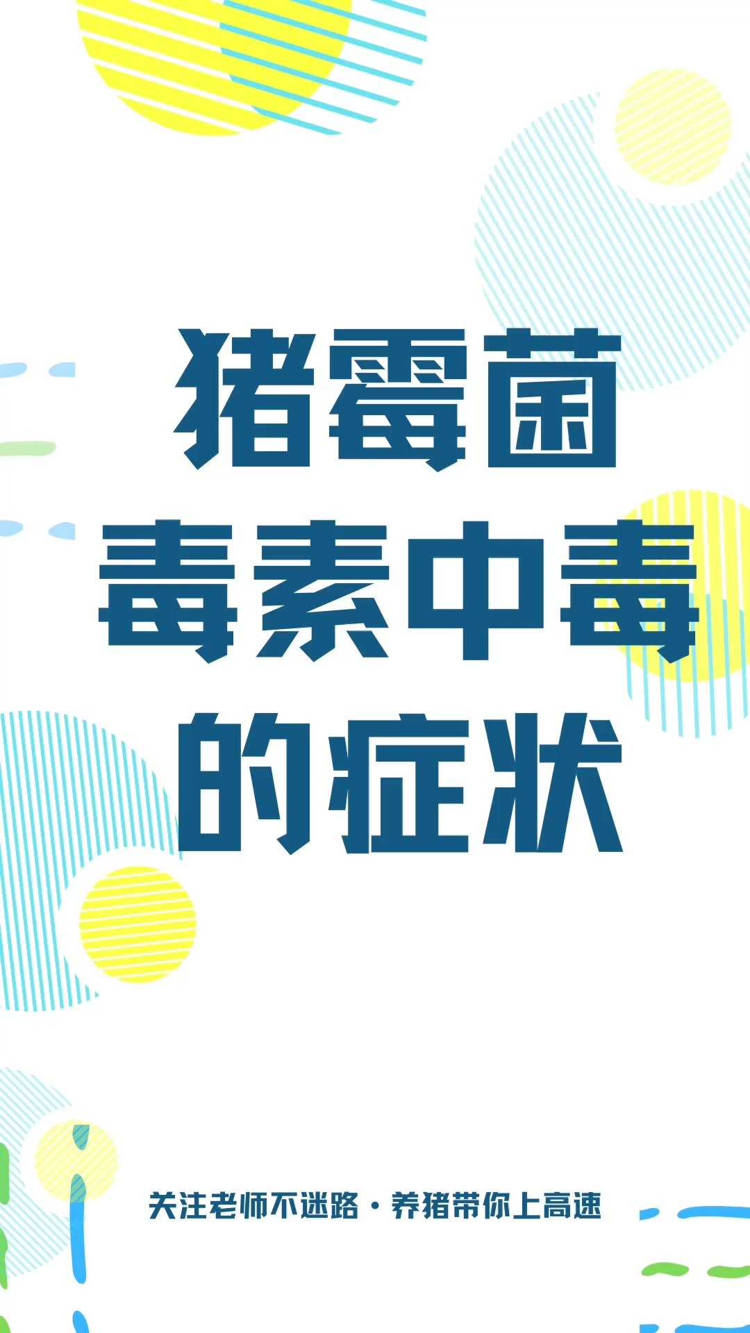 猪霉菌毒素中毒,症状你都知道吗?