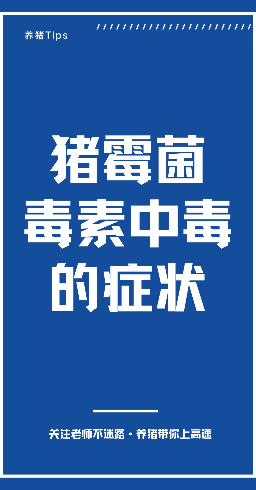 猪霉菌毒素中毒的症状
