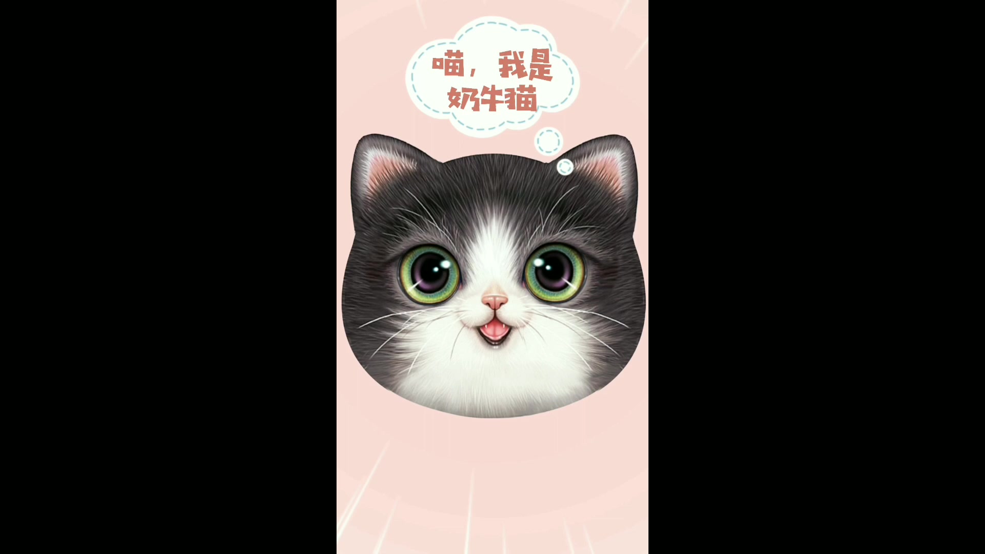 卡通设计之仿真猫咪头像