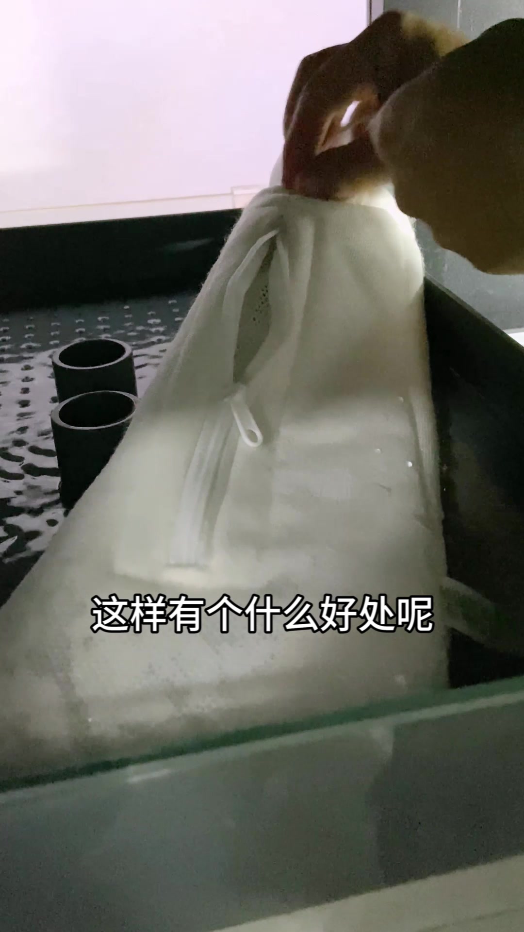 鱼缸紫外灯的正确使用方式
