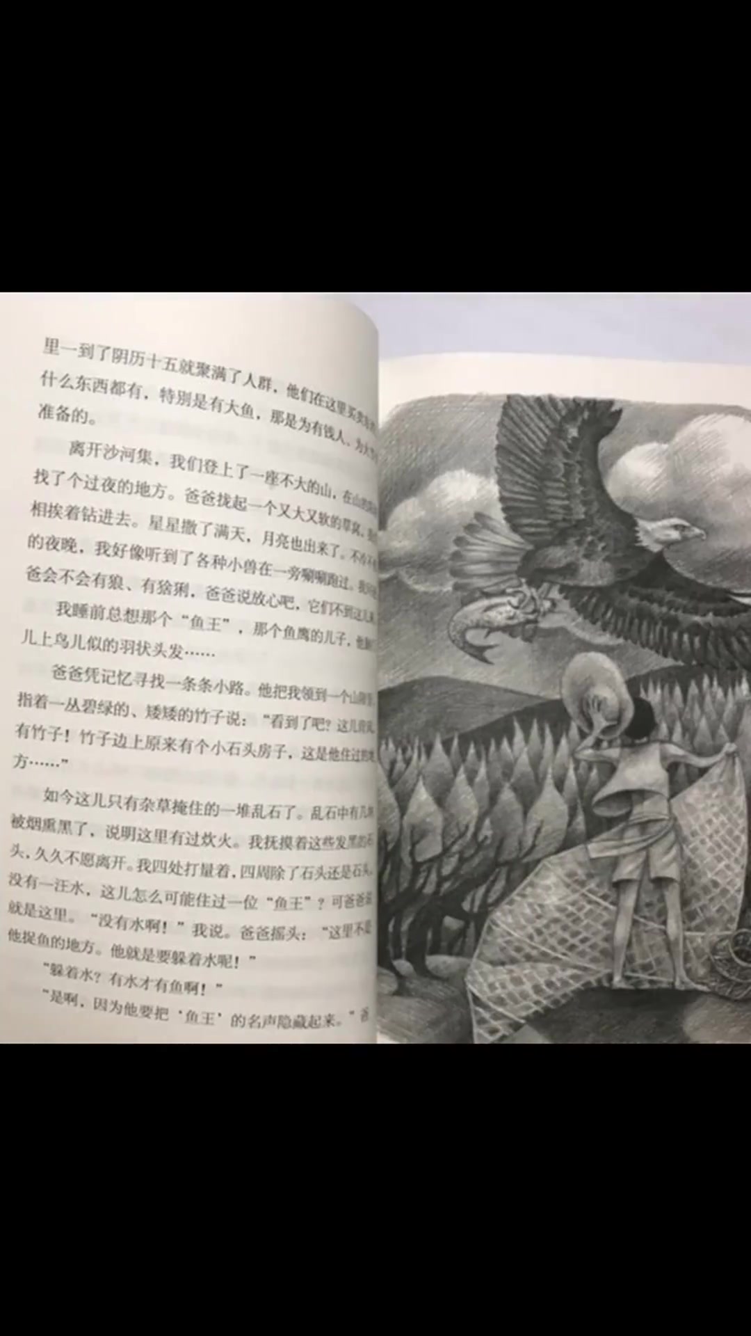 带你了解《寻找鱼王》