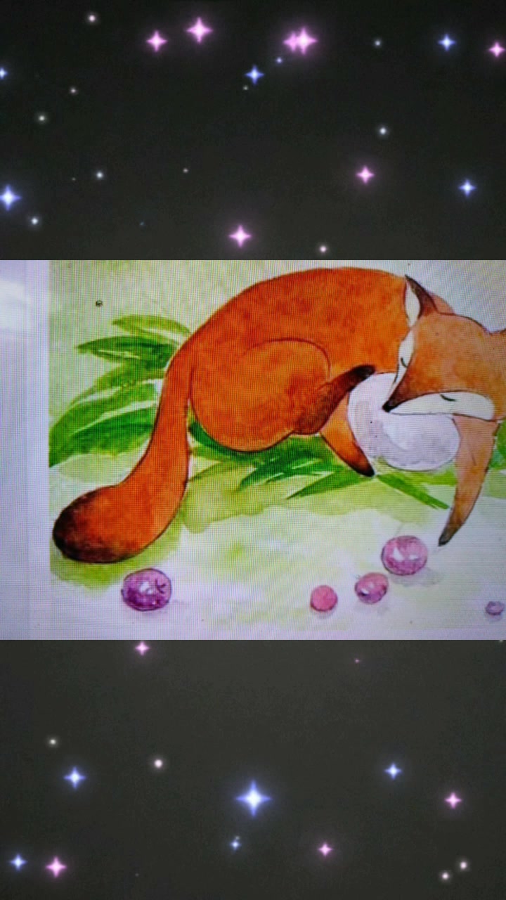 狐狸爸爸和鸭宝宝