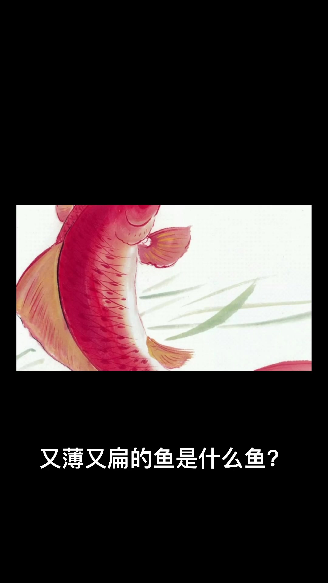 又薄又扁的鱼是什么鱼?