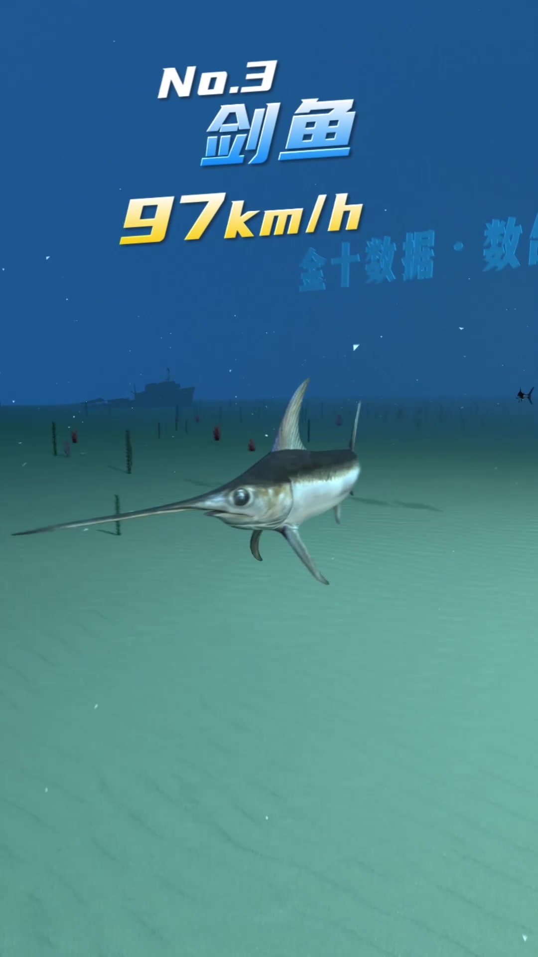 十大速度最快的鱼类