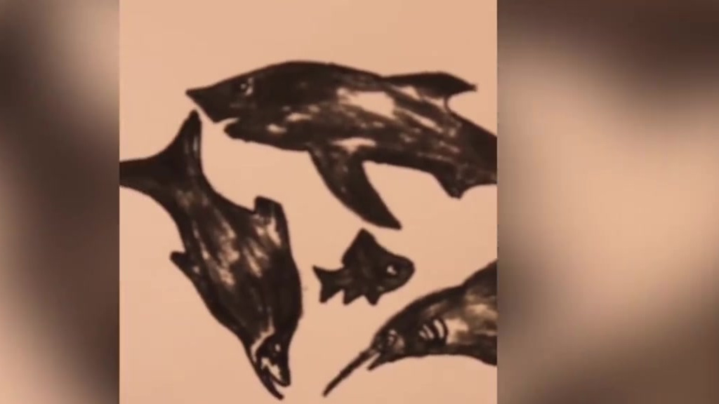 【创意绝了!男子画14条鱼拼成全红婵画像 :跳水姿态如鱼入水般优美】8月8日,浙江金华,东