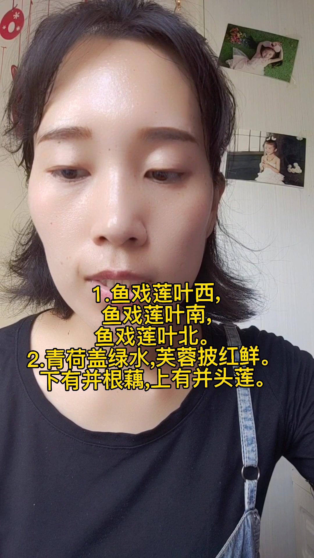 描写夏天荷花的诗句     