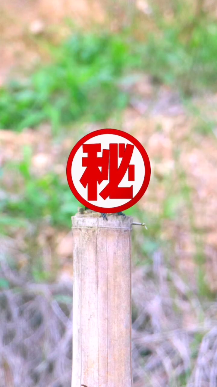 这到底是啥?既不是鱼也不是狗……野生动物 云南