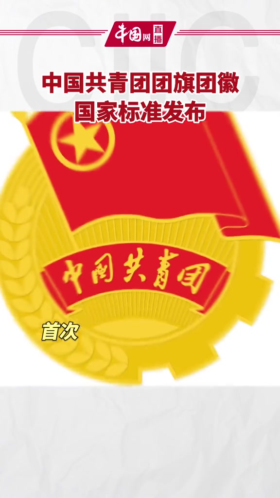 中国共青团团旗团徽国家标准发布
