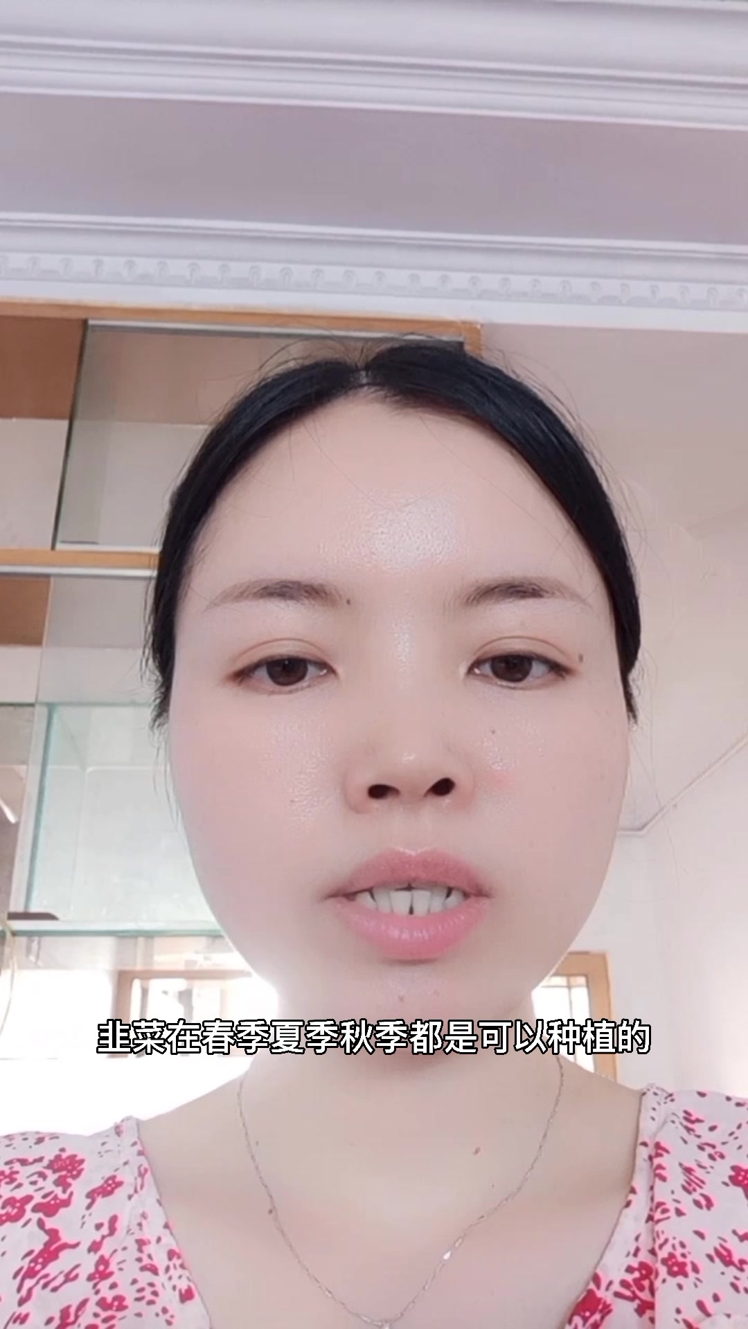 韭菜什么时候种最好?