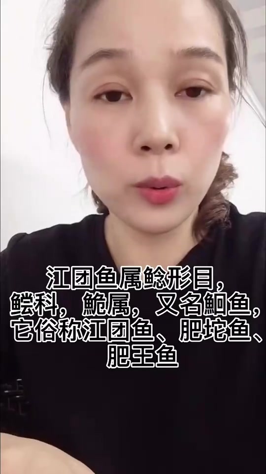 江团鱼是什么鱼?