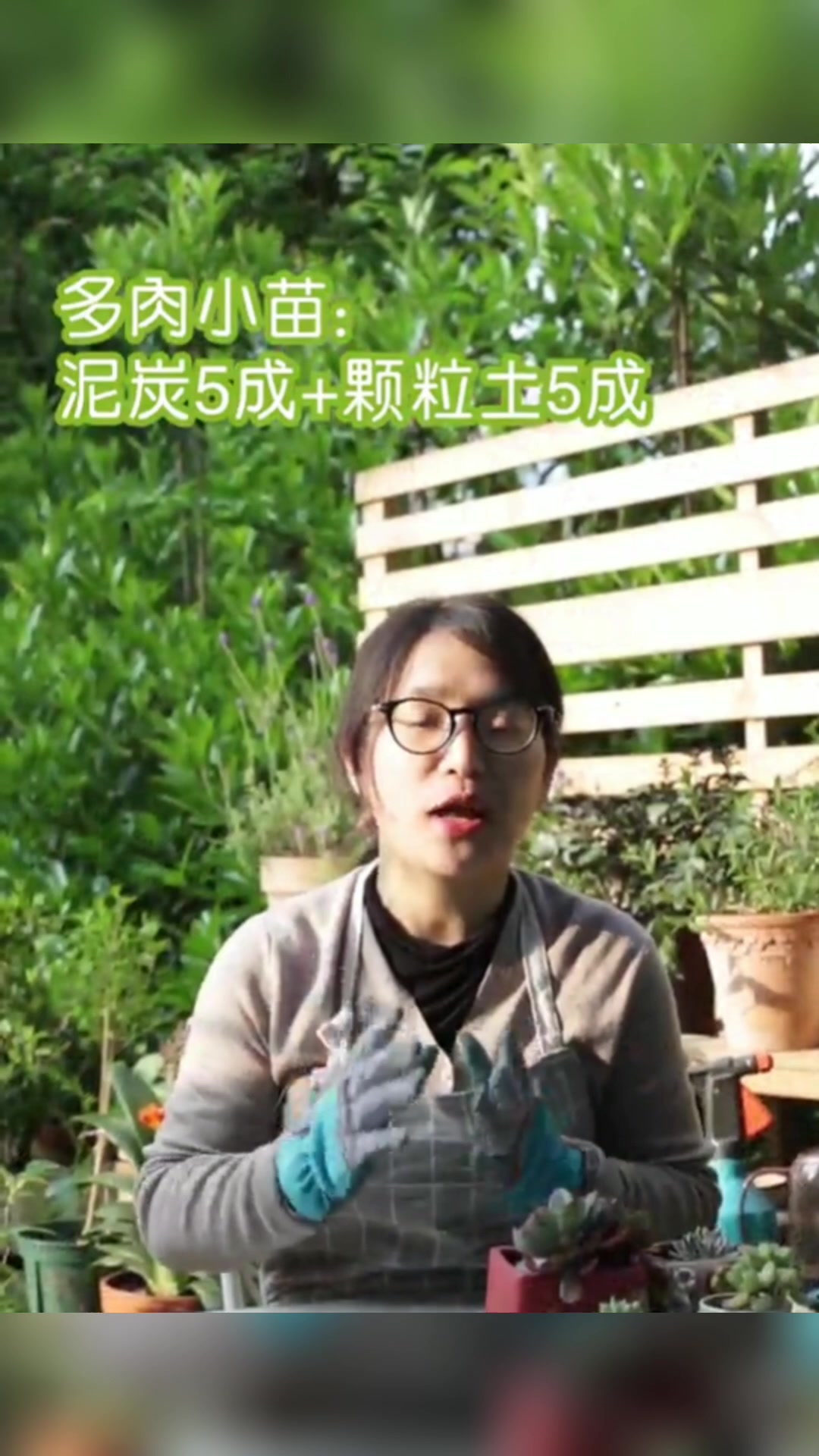 多肉植物用什么土最好