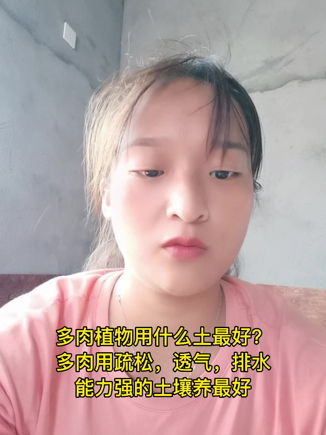 多肉植物用什么土最好?