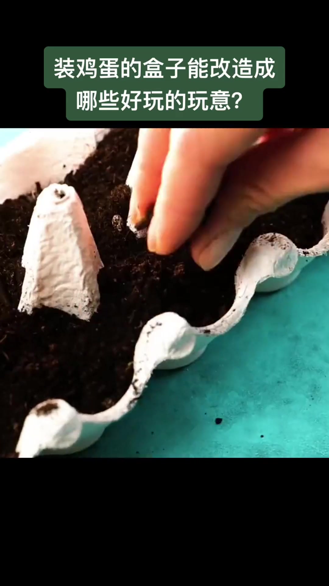 装鸡蛋的盒子原来还能这么玩,今天真是学到了,简直太棒了