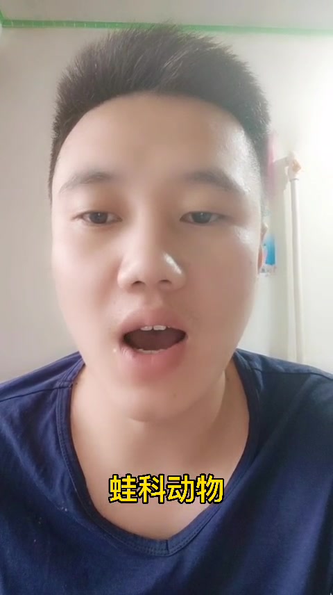 田鸡指的是哪一种动物