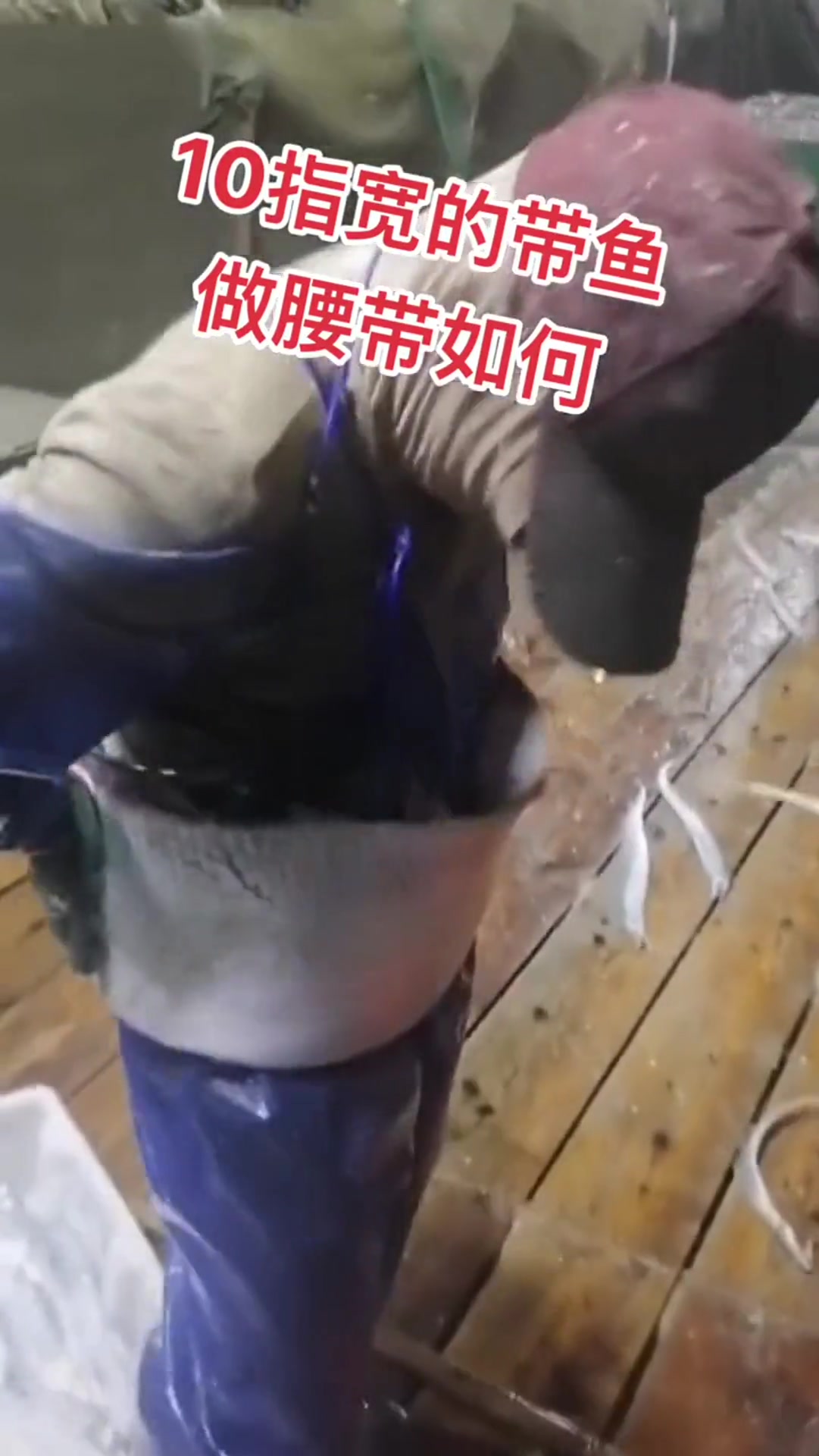 十指宽的带鱼你见过吗?用它做个金腰带,应该很好看!