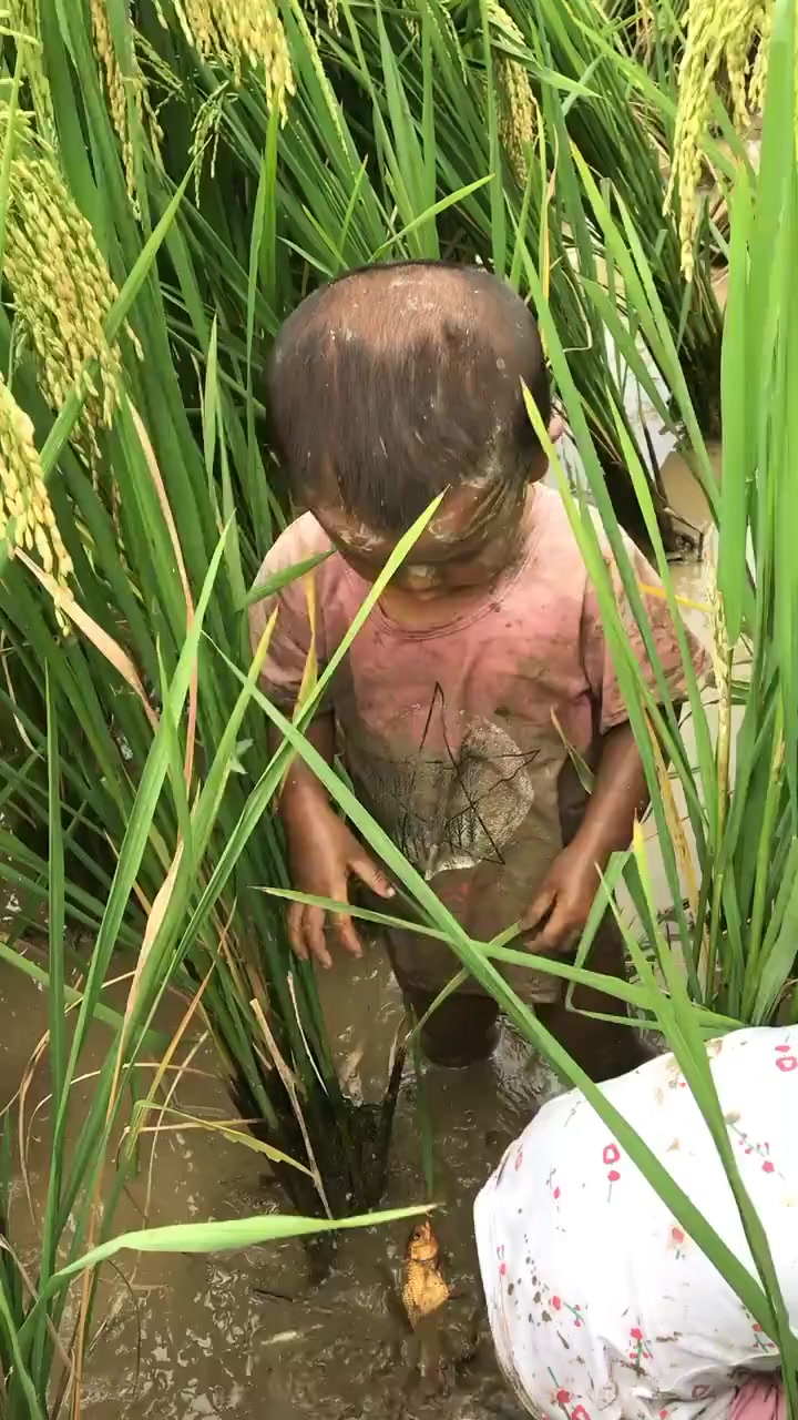让我想到我小时候老爸带我去河里摸虾摸鱼的场景