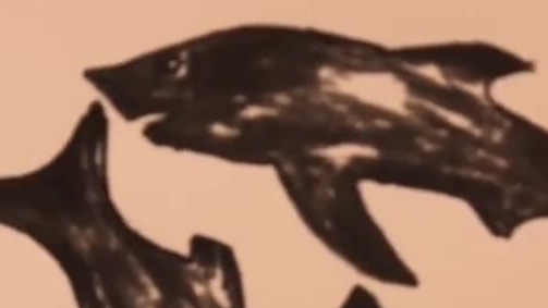 【创意绝了!男子画14条鱼拼出全红婵像[围观]】8月8日,浙江金华一男子画14条鱼拼出了全