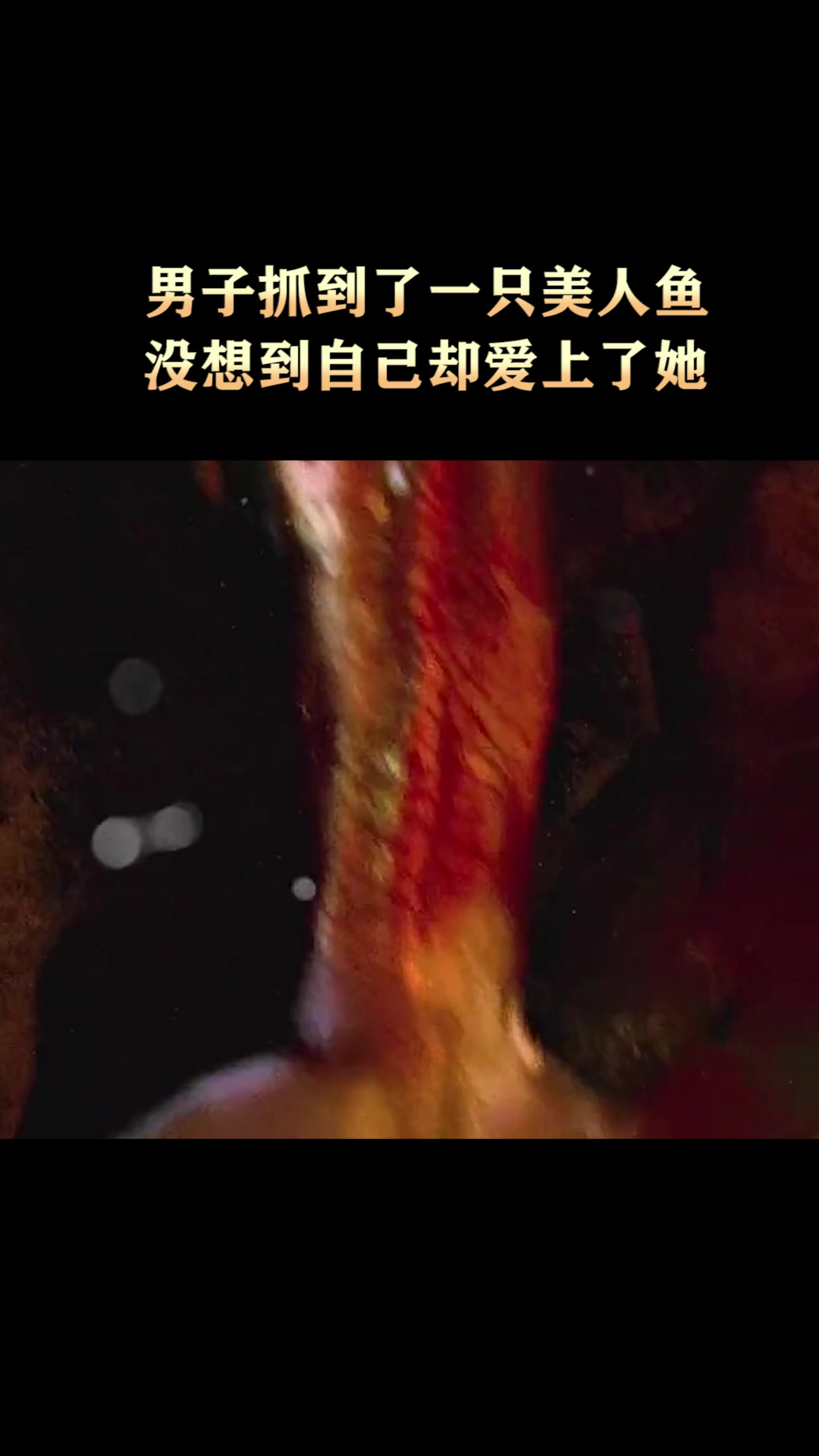 男子抓到了一只美人鱼,没想到自己却爱上了她!