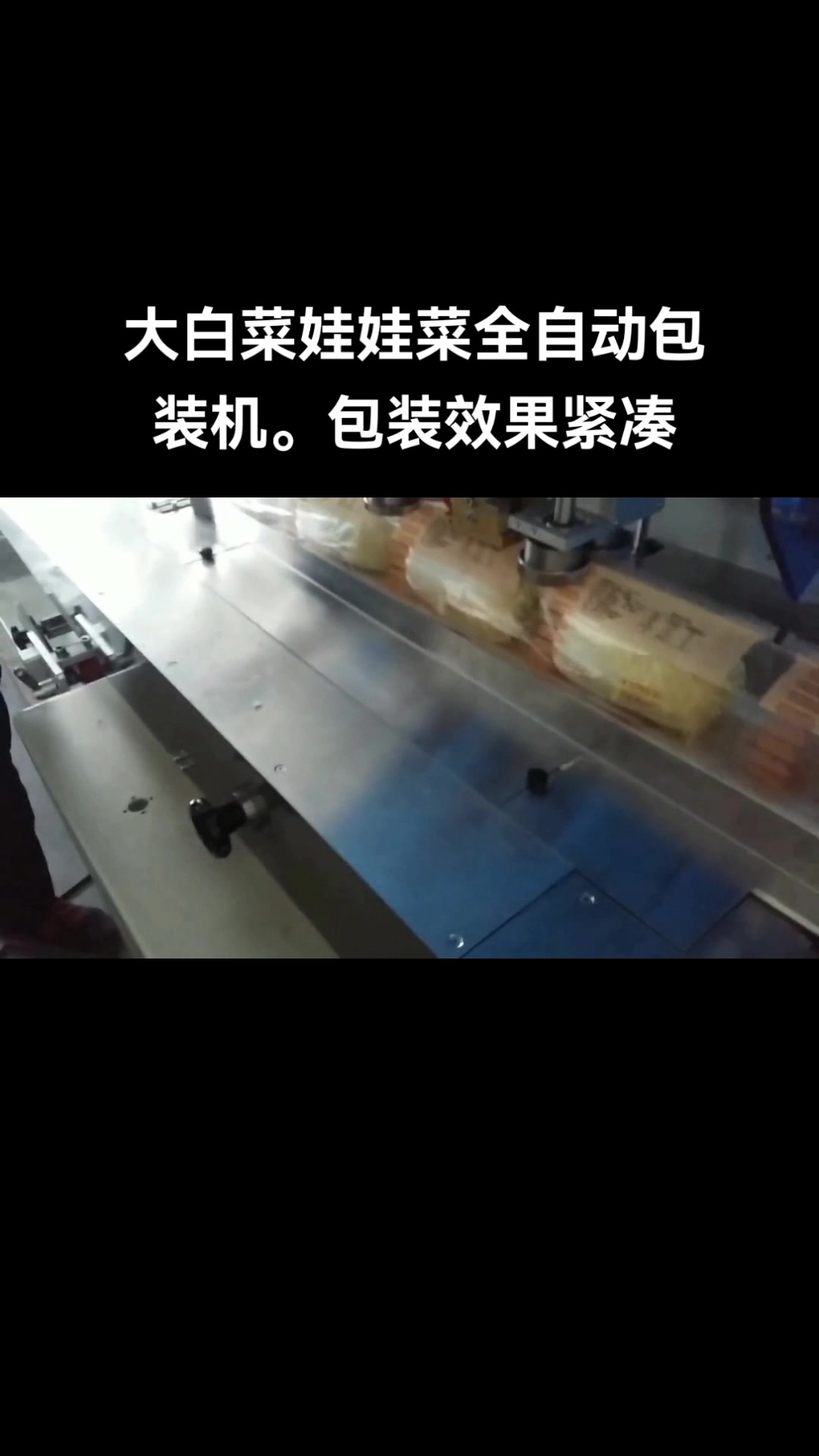 长沙蔬菜包装机 湖南叶菜包装机 大白菜娃娃菜全自动包装机