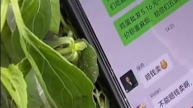 【跑腿卖菜哥 居民很认可】自从疫情发生以来,28岁的小王成为了正商蓝钻小区以及周围用户日常